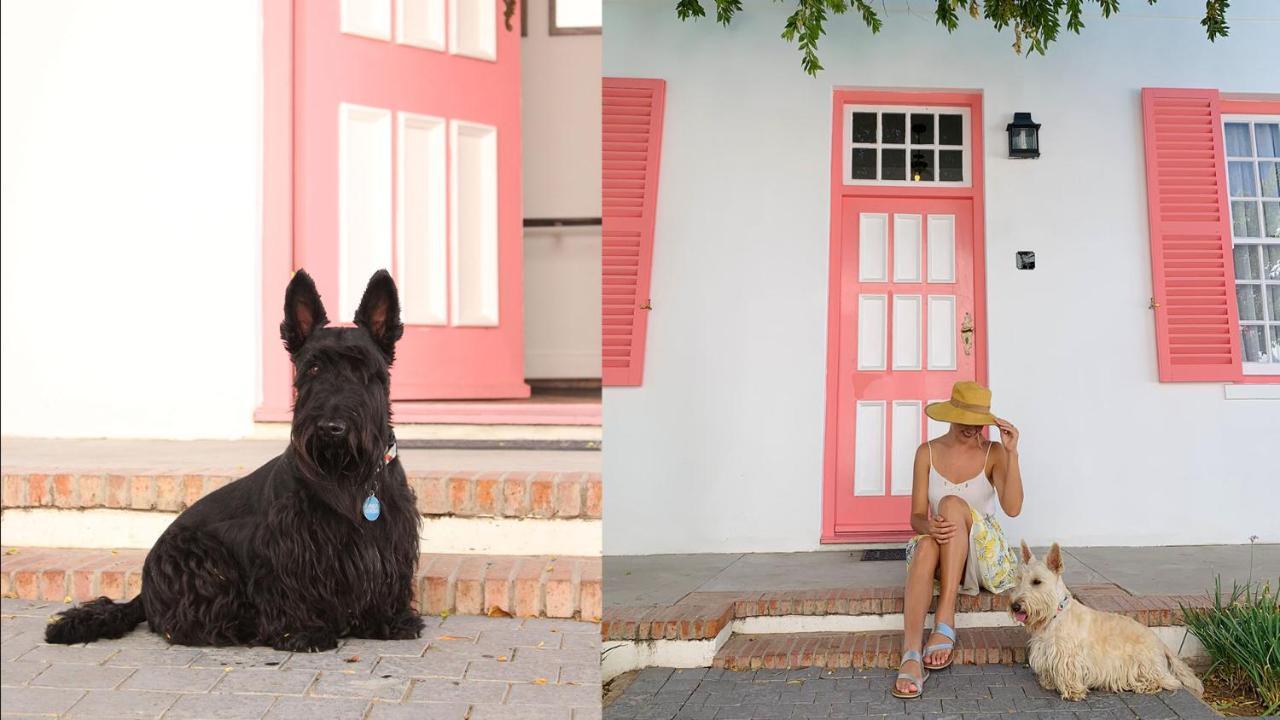 Drostdy Hotel Graaff-Reinet Екстериор снимка Scottie dogs